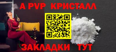 стафф Гай