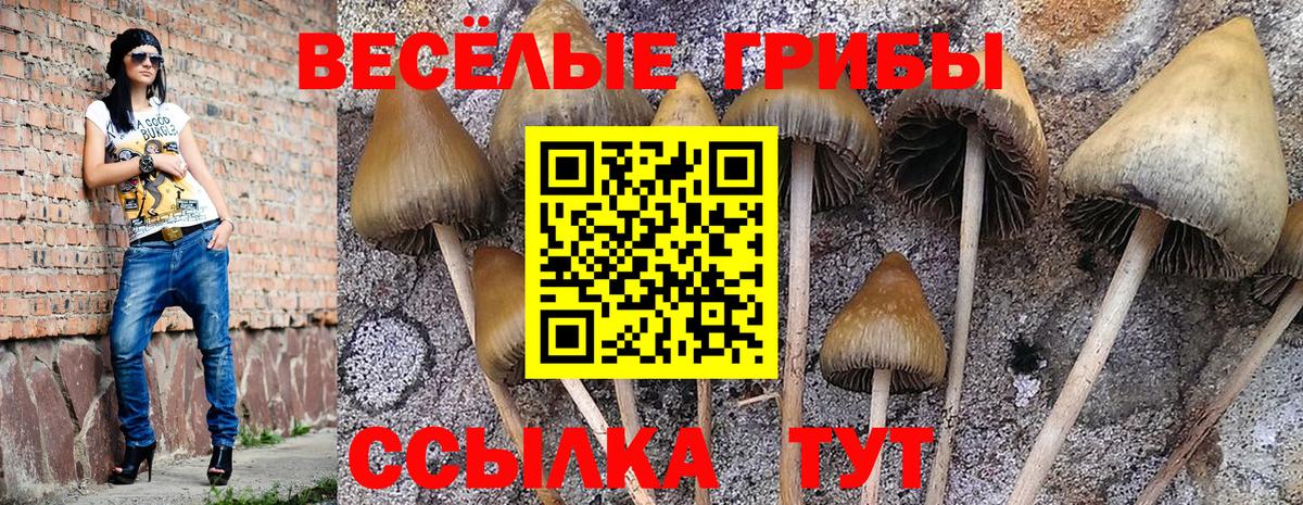 Галлюциногенные грибы MAGIC MUSHROOMS Новотроицк