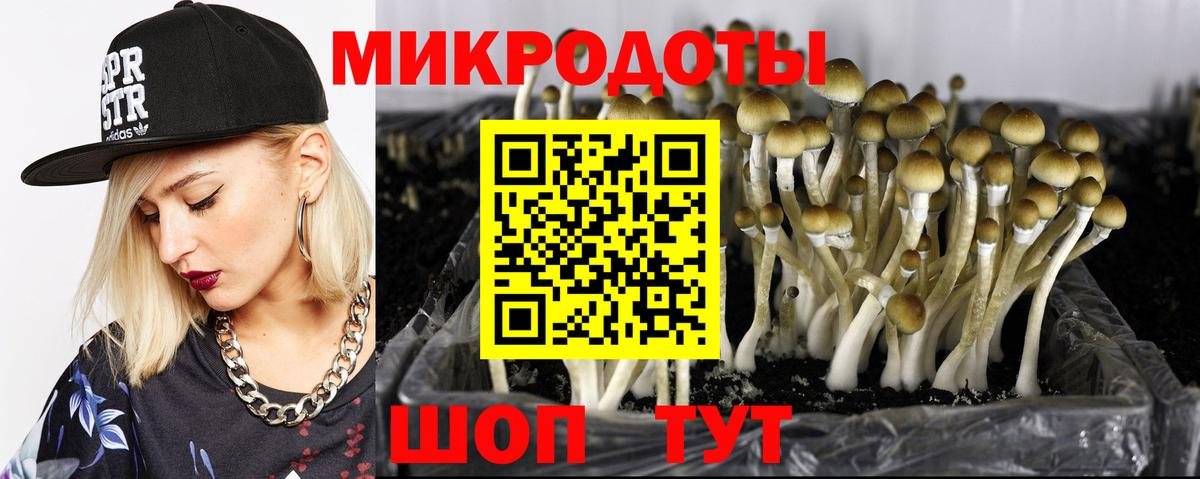 купить наркотик  Псилоцибиновые грибы ЛСД  Вход с VPN  Новотроицк 